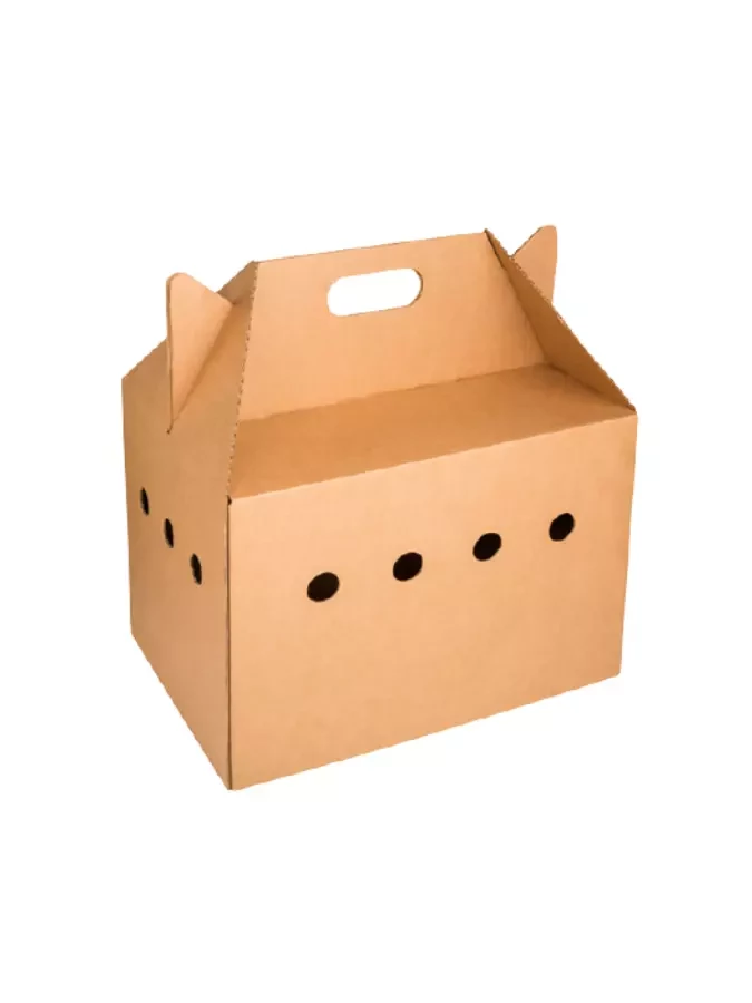 custom-design-corrugated-packaging-boxes