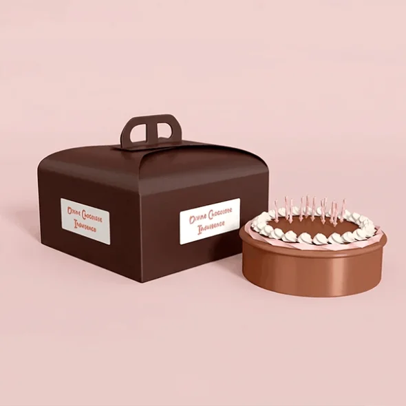 cake boxes with handle