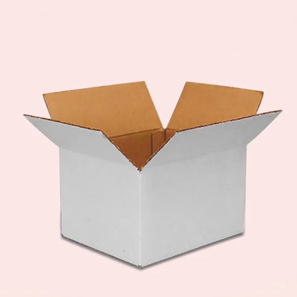white-corrugated-box-packaging